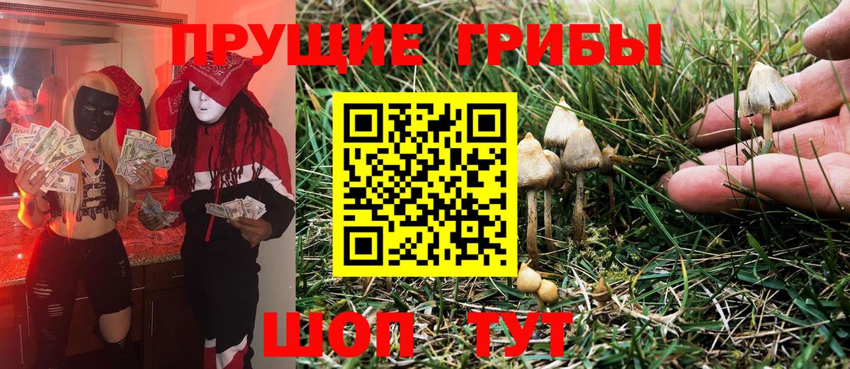 Галлюциногенные грибы Cubensis  Галлюциногенные грибы Magic Shrooms  Свободный  Вход с VPN 